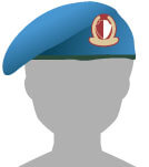 trivia-3.jpg